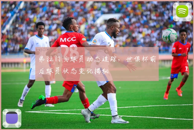 弗拉门戈球员动态追踪，世俱杯前后球员状态变化揭秘