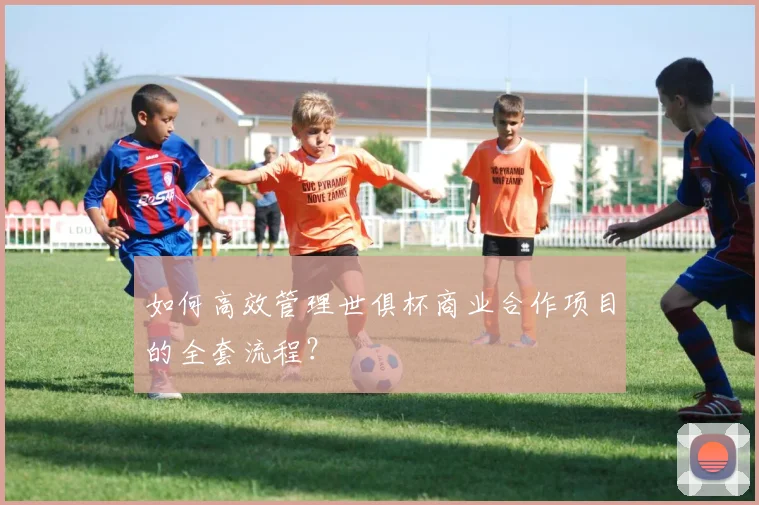如何高效管理世俱杯商业合作项目的全套流程?