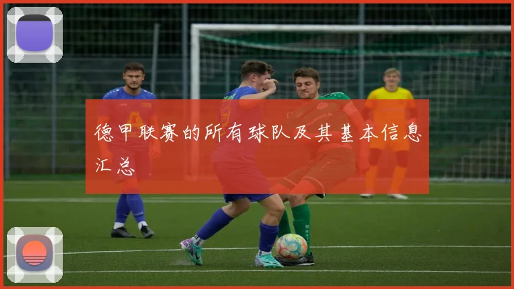 德甲联赛的所有球队及其基本信息汇总